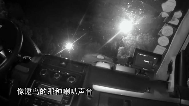21年江苏男子夜钓湖边荒树林突然传出怪声报警调查发现不简单(图4)