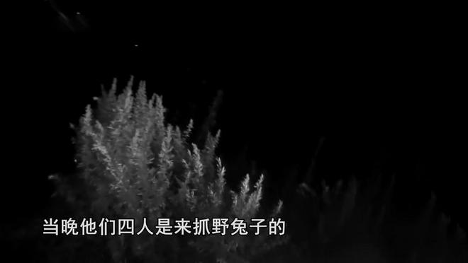 21年江苏男子夜钓湖边荒树林突然传出怪声报警调查发现不简单(图5)