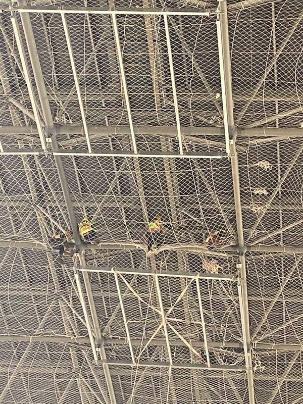 “神鸟展翅”揭秘① 天府国际机场超大羽毛天花吊顶是怎样建成的（组图）(图1)
